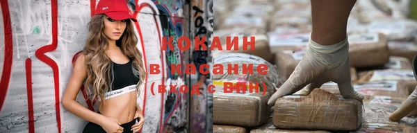 шишки Нея