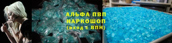 шишки Нея